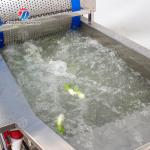 Vegetable Leaves Vegetables Leafy vegetables Cabbage varieties Herbs Fruiting vegetables Vortex washer Cleaning processing production Machine