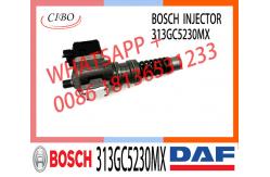 China Injector Pump 313GC5230M 313GC5230MX For DAF XF95 95XF 480 CF75/85 supplier
