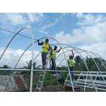 China Greenhouse Polycarbonate Green House Metal Frame Fruits With Ventilated PC Board for sale