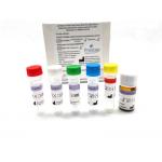 CE certified Rapid RT PCR Self Test Kit For Neuclic Acid Purification for sale