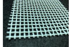 China White Blue Plain Weave Square Hole Polyester Mesh Belt 0.1m-25m Long supplier