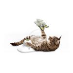 Promotion 80*30*25cm PET Chew Toys For Cat Teaser for sale