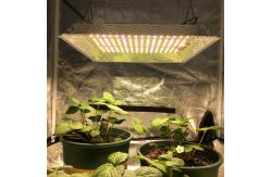 China Knob Dimming Full Spectrum 2x2 LED Grow Light supplier