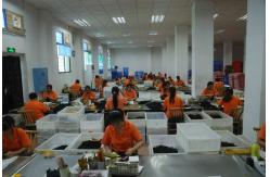 China Peruvian Human Hair manufacturer