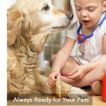 Veterinary Dog Medical Self Adhesive Cohesive Bandage for sale