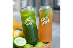 China Beverage Plastic Juice Containers 500Ml 650Ml Plastic Pet Bottles With Aluminum Lid supplier