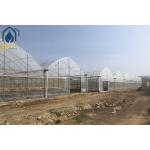 Large Hydroponic Multi Span Greenhouse For Tomato / Pepper / Cucumber Planting