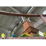 316 Stainless Steel Woven Ferrule Wire Rope Mesh For Zoo Bird for sale