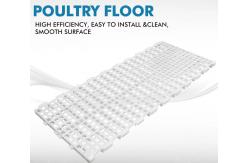 China Automatic Broiler Slatted Grating Mesh Poultry Slat Flooring supplier