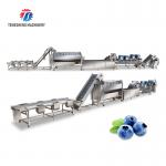 Stainless Steel Fruit And Vegetable Processing Line Potato Picking Hair Roller Bubble Washing Machine for sale