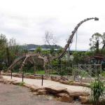 Large Outdoor Dinosaur Skeleton , Sunproof Dinosaur Model Skeleton for sale