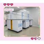 Coating With Epoxy Powder Chemistry Lab Bench  Rectangular Or Customized