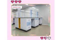 China Coating With Epoxy Powder Chemistry Lab Bench  Rectangular Or Customized supplier