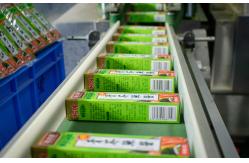 China Wasabi Seasoning manufacturer