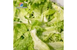 China Automatic Bubble Vortex Fruit and Vegetable Vegetable Washing Machine supplier