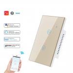 Dimmable 2A WiFi RF Smart Switch 2gang Smart Light Switch Panel