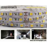 Anti explsoive 1500 lum Flexible LED Strip Waterproof 60pcs led each meter
