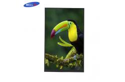 China Vibrant Visuals LCD Display Module 16.7M 10.1 TFT LCD Monitor supplier