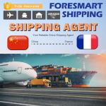 China To France DDP Delivery Service , DDP Train Shipping for sale