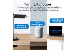 China Remote Control Homekit Light Socket WiFi Automation TUYU Remote Control Wall Socket supplier