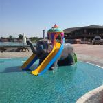 Aqua Park Swimming Pool Fiberglass Equipment Elephant Water Slide for Kids Backyard for sale