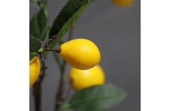 China Lifelike 100cm Artificial Fruit Tree Indoor Potted Lemon Green Yellow Plant supplier