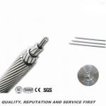 Hazel 50mm Mulbery 125mm AAAC Dog Conductor for sale