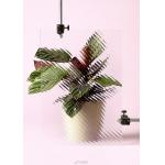 Polished Edge Patterned Tempered Glass Clear Moru Tinted Moru Ultra Clear Glass for sale