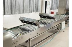 China Automatic Marshalling Cooling Conveyor Machine Adjustable Speed supplier