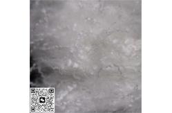 China 1 White Polyester Staple Fiber With Crimp For Business supplier