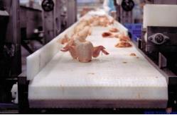China                  Curved Conveyor Modular Curve Mesh Belt Conveyor              supplier