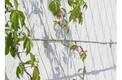 China Security Garden Fence 3mm Welded Wire Mesh Stainless Steel 304 316 supplier