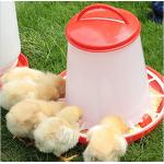 Poultry Pan Bucket 3kg 6kg Plastic Chicken Feeder For Water Drinker for sale