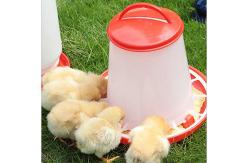 China 4kg No Waste Quail Poultry Feeder Drinker supplier