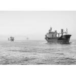 DDP DDU North American Freight Forwarding , Freight Shipping From China To US for sale