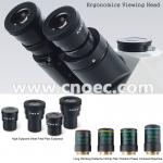 High Precision Binocular Phase Contrast Microscope For Research A19.0901