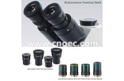 China High Precision Binocular Phase Contrast Microscope For Research A19.0901 supplier