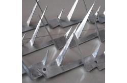 China Hot Dipped Galvanized Single Razor Fence Security Spikes 1.25m Length supplier