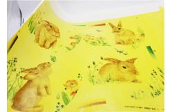 China 900x1000mm Automatic Screen Exposing Machine For Decal supplier
