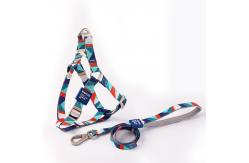 China Pet Printed Harness Polyester Leash Set For Medium And Large Dogs supplier