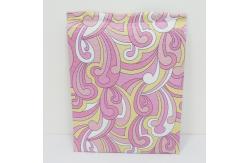 China Lightweight Plastic Bubble Mailer Bags Durable Custom Sizes Available supplier
