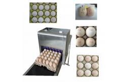 China Poultry Husbandry Egg Printing Machine With Automatically Identified Function supplier