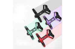 China Reflective Strips Milk Silk Design Pet I Shaped Harness Leash For Dogs supplier