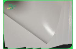 China 250gsm 300gsm PE Coating White Paper Board For Pizza Boxes Waterproof supplier