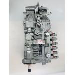 6222-73-1111 6222731111 SAA6D108E-2 Fuel Injection Pump For PC300-6 Excavator for sale