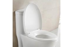 China Floor Mounted Elongated Bathroom Toilets With Clean Lines And Low Profile supplier