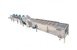 China Continuous Peach Vegetable Washing Machine 304 Stainless Steel For Spinach supplier