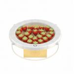 Intelligent RGB Fruit Basket light with Bluetooth and endless dimming Function for Hotel Bars or Family use for sale