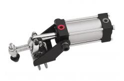 China 900kg Quick Release SUS300 Pneumatic Toggle Clamp supplier