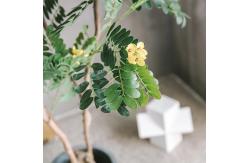 China Yellow Cassia Flowering Artificial Foliage Tree Hotel Decoration supplier